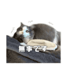むーちゃんの日常（梅雨）（個別スタンプ：13）