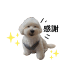 JYO’s sticker（個別スタンプ：2）