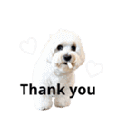 JYO’s sticker（個別スタンプ：3）