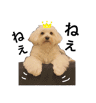 JYO’s sticker（個別スタンプ：4）