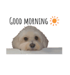 JYO’s sticker（個別スタンプ：5）