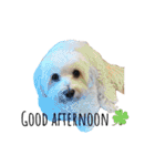 JYO’s sticker（個別スタンプ：7）