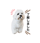JYO’s sticker（個別スタンプ：10）
