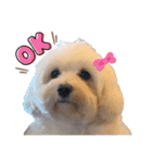 JYO’s sticker（個別スタンプ：12）