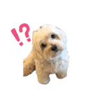 JYO’s sticker（個別スタンプ：20）