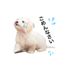 JYO’s sticker（個別スタンプ：21）