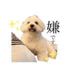 JYO’s sticker（個別スタンプ：24）