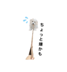 JYO’s sticker（個別スタンプ：25）