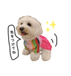 JYO’s sticker（個別スタンプ：29）