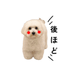 JYO’s sticker（個別スタンプ：31）