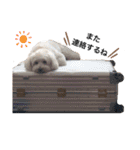 JYO’s sticker（個別スタンプ：32）