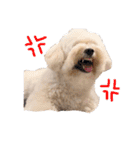 JYO’s sticker（個別スタンプ：36）