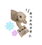 JYO’s sticker（個別スタンプ：37）
