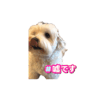JYO’s sticker（個別スタンプ：38）