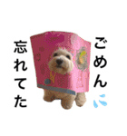 JYO’s sticker（個別スタンプ：40）