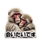 ニホンザル☆必ず使う日常会話集・挨拶（個別スタンプ：17）