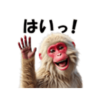 ニホンザル☆必ず使う日常会話集・挨拶（個別スタンプ：24）