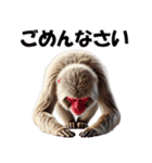 ニホンザル☆必ず使う日常会話集・挨拶（個別スタンプ：25）