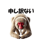 ニホンザル☆必ず使う日常会話集・挨拶（個別スタンプ：26）