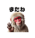 ニホンザル☆必ず使う日常会話集・挨拶（個別スタンプ：28）
