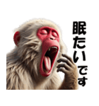 ニホンザル☆必ず使う日常会話集・挨拶（個別スタンプ：30）