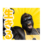 サングラスしたゴリラ【エプロン☆煽り】（個別スタンプ：3）