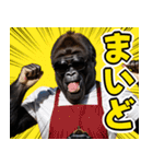 サングラスしたゴリラ【エプロン☆煽り】（個別スタンプ：4）