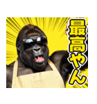 サングラスしたゴリラ【エプロン☆煽り】（個別スタンプ：6）