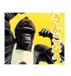 サングラスしたゴリラ【エプロン☆煽り】（個別スタンプ：15）