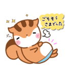 気持ち伝わる！りすたんのありがとう集（個別スタンプ：3）