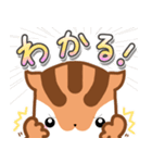 気持ち伝わる！りすたんのありがとう集（個別スタンプ：19）