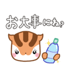 気持ち伝わる！りすたんのありがとう集（個別スタンプ：24）