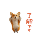 踊る！コーギー（個別スタンプ：2）