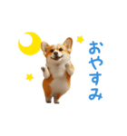 踊る！コーギー（個別スタンプ：8）