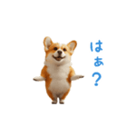 踊る！コーギー（個別スタンプ：14）