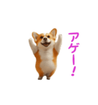 踊る！コーギー（個別スタンプ：15）