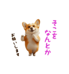 踊る！コーギー（個別スタンプ：18）