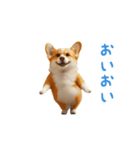 踊る！コーギー（個別スタンプ：19）