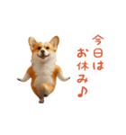 踊る！コーギー（個別スタンプ：21）