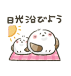 シマエナガ★健康第一（個別スタンプ：30）