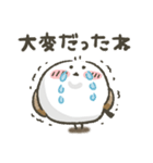 シマエナガ★健康第一（個別スタンプ：31）