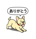 フレンチブルドッグ(クリーム)（個別スタンプ：2）