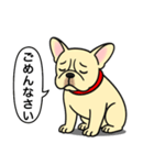 フレンチブルドッグ(クリーム)（個別スタンプ：3）