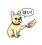 フレンチブルドッグ(クリーム)（個別スタンプ：4）