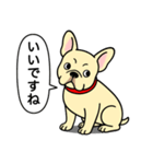 フレンチブルドッグ(クリーム)（個別スタンプ：6）