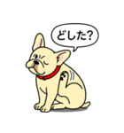 フレンチブルドッグ(クリーム)（個別スタンプ：13）