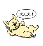フレンチブルドッグ(クリーム)（個別スタンプ：15）