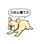 フレンチブルドッグ(クリーム)（個別スタンプ：17）