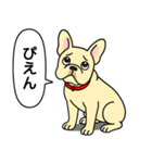 フレンチブルドッグ(クリーム)（個別スタンプ：23）