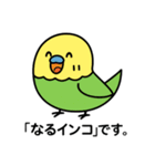 なるインコ♡日常編（ご挨拶1）（個別スタンプ：1）